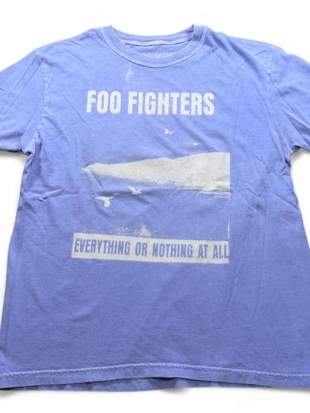 Foo Fighters 2024 Everything or Nothing at All Tour Tee Large Dave Grohl